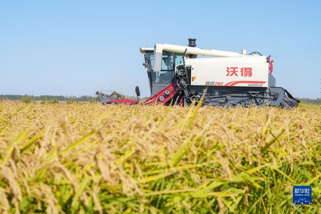 漫盈娱乐